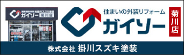 ガイソー菊川店