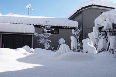 雪災