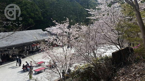 【キャンペーン中！】遮熱塗装で暑い夏を快適に過ごしませんか？