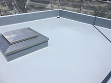 屋上<br />
防水保護塗装完了