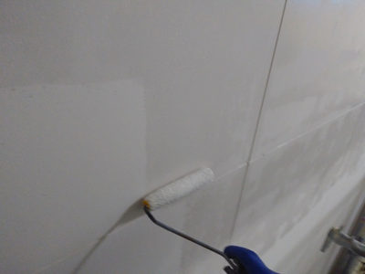 【壁】下塗り塗装<br />
<br />
カビや藻等が発生してしまった面へ、防カビ塗装を行う前に、前処理として殺菌するための塗装です。