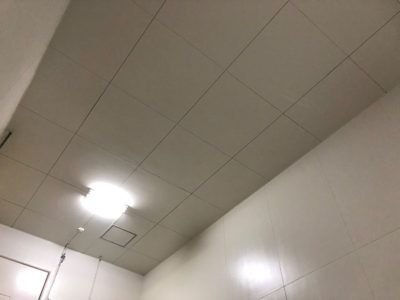 階段室内　壁、天井（淡色）防カビ塗装完了