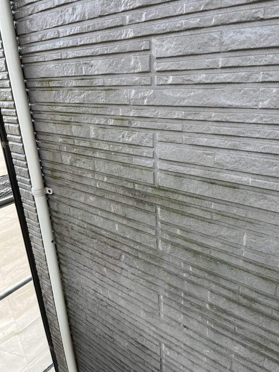 <strong>バイオ洗浄後(外壁)</strong><br>