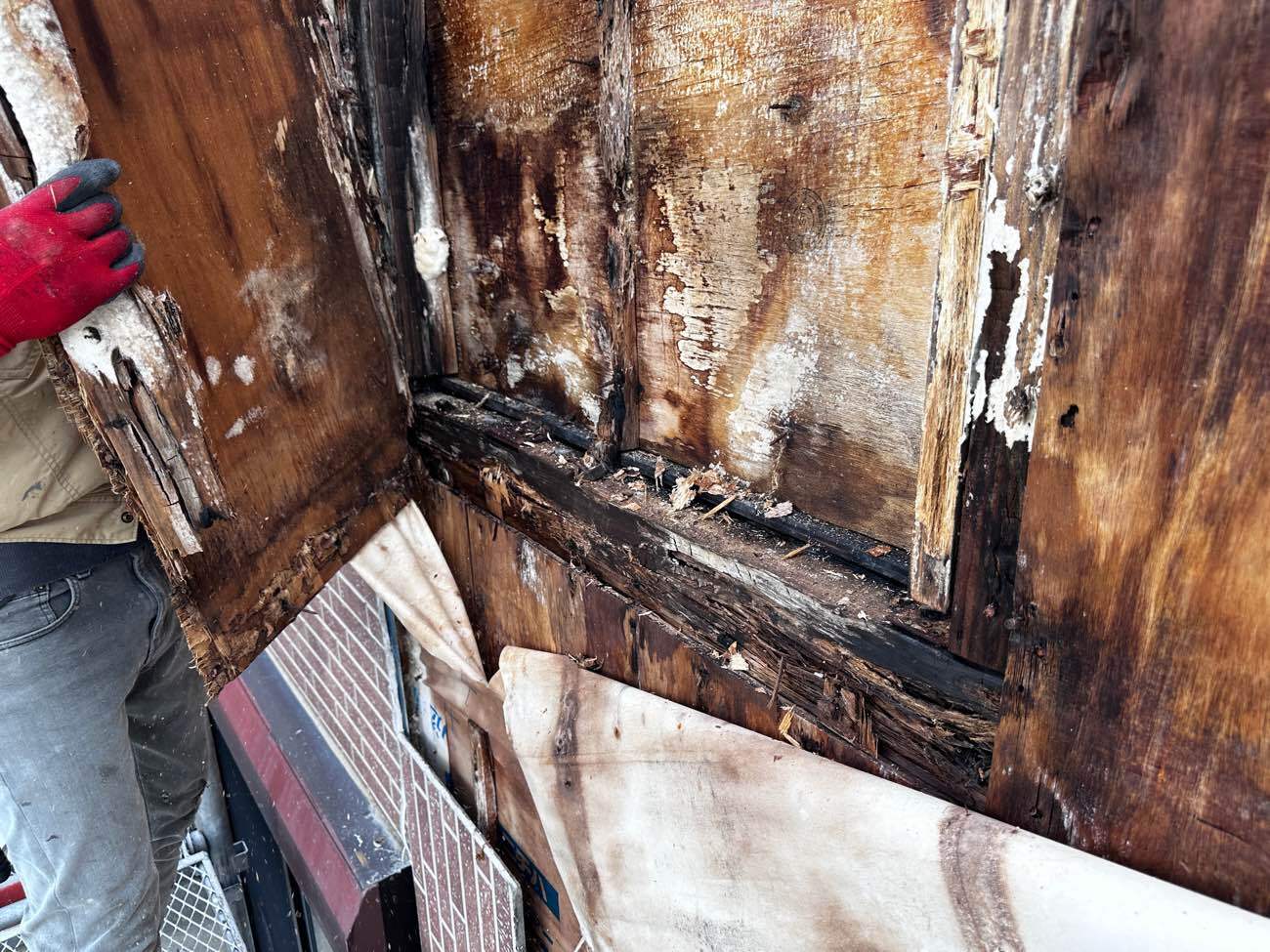 既存防水紙 剥がし確認