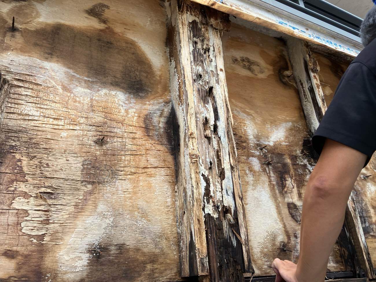 既存防水紙 剥がし(間柱の腐食確認)
