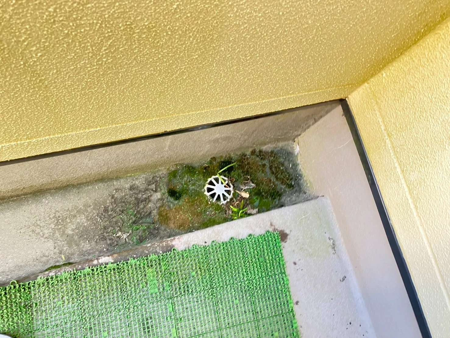 ベランダ施工前
