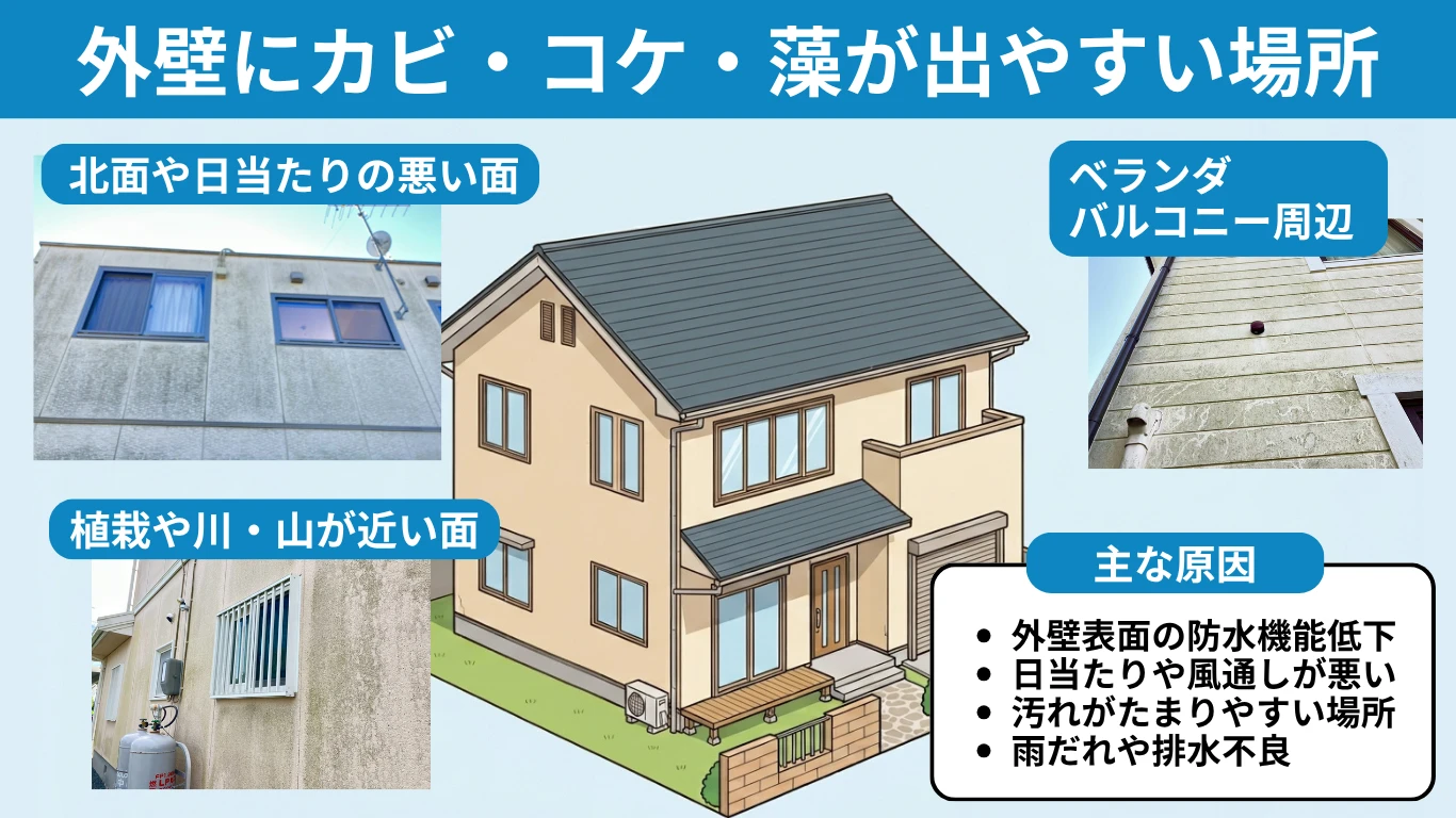 外壁にカビ・コケ・藻が出やすい場所