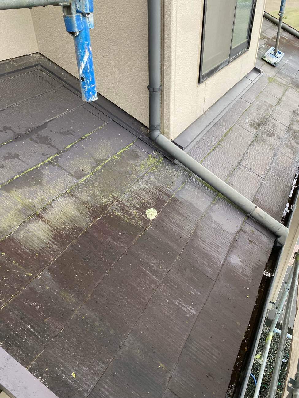 屋根高圧洗浄前